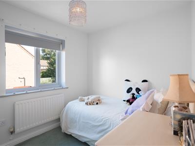Picture 12